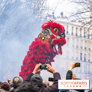 Défilé du Nouvel an Lunaire - Chinois 2025 Paris 13e - les photos