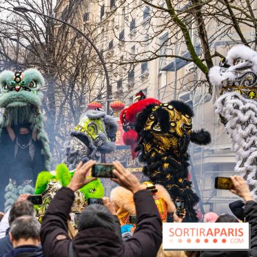 Défilé du Nouvel an Lunaire - Chinois 2025 Paris 13e - les photos