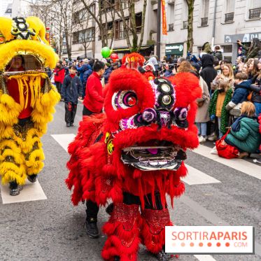 Défilé du Nouvel an Lunaire - Chinois 2025 Paris 13e - les photos
