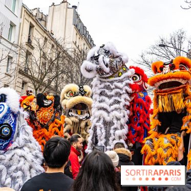 Défilé du Nouvel an Lunaire - Chinois 2025 Paris 13e - les photos