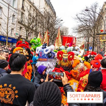 Défilé du Nouvel an Lunaire - Chinois 2025 Paris 13e - les photos