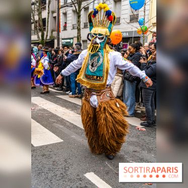 Défilé du Nouvel an Lunaire - Chinois 2025 Paris 13e - les photos