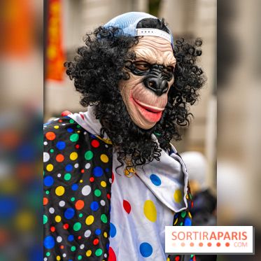 Défilé du Nouvel an Lunaire - Chinois 2025 Paris 13e - les photos -  A7C1708