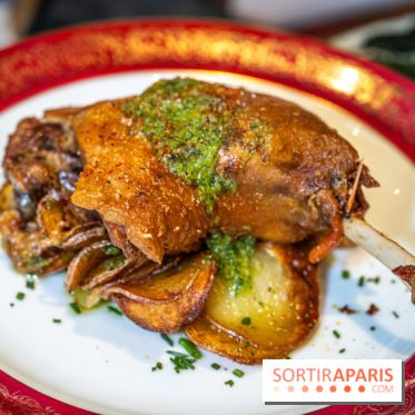 Le Bistro des Livres, le restaurant français pour les amoureux des bouquins -  canard confit