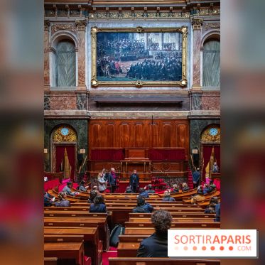 Le Château de Versailles : ouverture de plusieurs salles sur la IIIe République - DSC 2220