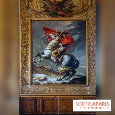 Le Château de Versailles : ouverture de plusieurs salles sur la IIIe République - DSC 2231