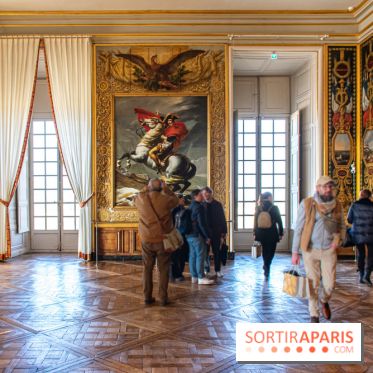 Le Château de Versailles : ouverture de plusieurs salles sur la IIIe République - DSC 2234