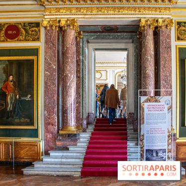 Le Château de Versailles : ouverture de plusieurs salles sur la IIIe République - DSC 2235