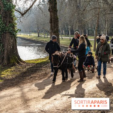 Le Château de Dampierre se transforme en station d'hiver pour les vacances de février -  A7C2271