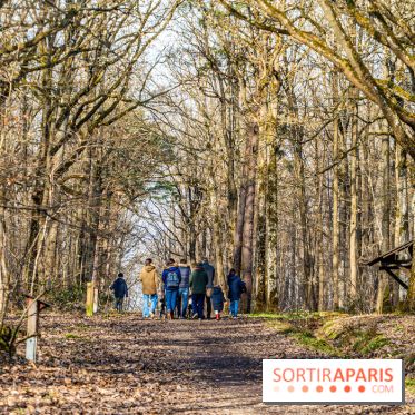 Balade sentier : Conte de Mélida, l'esprit de la forêt en forêt de Méridon (78) - A7C02309