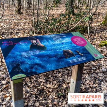 Balade sentier : Conte de Mélida, l'esprit de la forêt en forêt de Méridon (78) - A7C02310