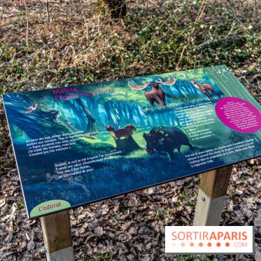 Balade sentier : Conte de Mélida, l'esprit de la forêt en forêt de Méridon (78) - A7C02311