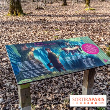 Balade sentier : Conte de Mélida, l'esprit de la forêt en forêt de Méridon (78) - A7C02312
