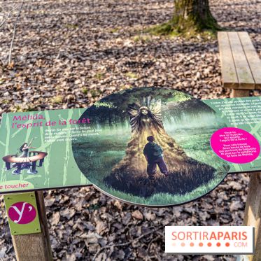 Balade sentier : Conte de Mélida, l'esprit de la forêt en forêt de Méridon (78) - A7C02313