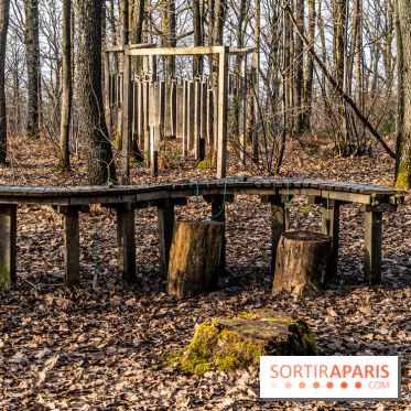 Balade sentier : Conte de Mélida, l'esprit de la forêt en forêt de Méridon (78) - A7C02314