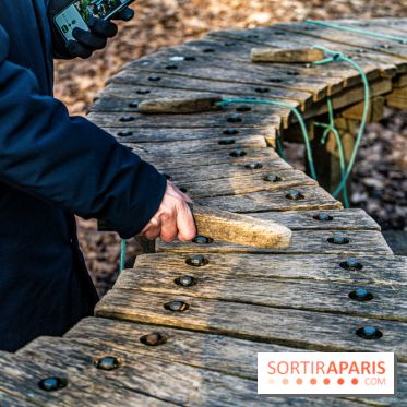 Balade sentier : Conte de Mélida, l'esprit de la forêt en forêt de Méridon (78) - A7C02316