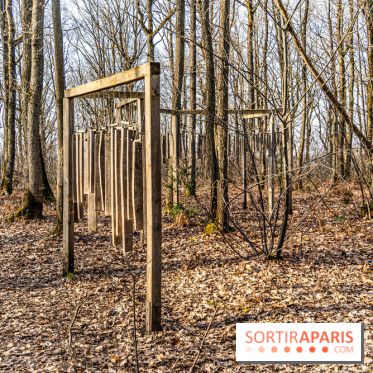 Balade sentier : Conte de Mélida, l'esprit de la forêt en forêt de Méridon (78)