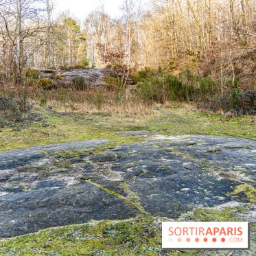Balade sentier : Conte de Mélida, l'esprit de la forêt en forêt de Méridon (78) - A7C02325