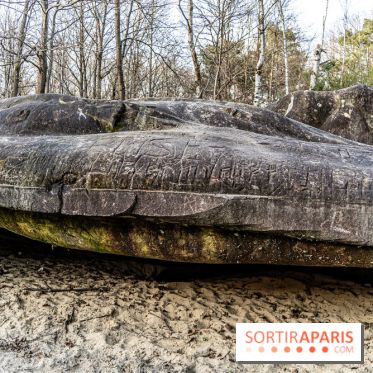 Balade sentier : Conte de Mélida, l'esprit de la forêt en forêt de Méridon (78) - A7C02326