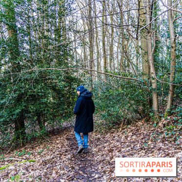 Balade sentier : Conte de Mélida, l'esprit de la forêt en forêt de Méridon (78) - A7C02329