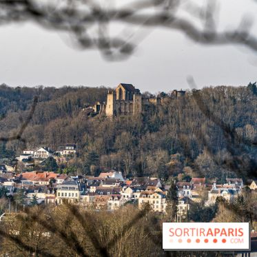 Balade sentier : Conte de Mélida, l'esprit de la forêt en forêt de Méridon (78) - A7C02331