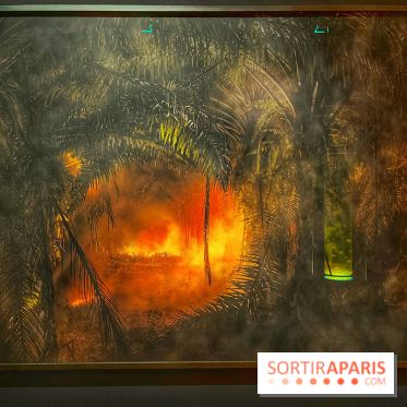 Paysages mouvants