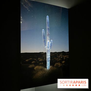 Paysages mouvants