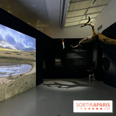 Paysages mouvants