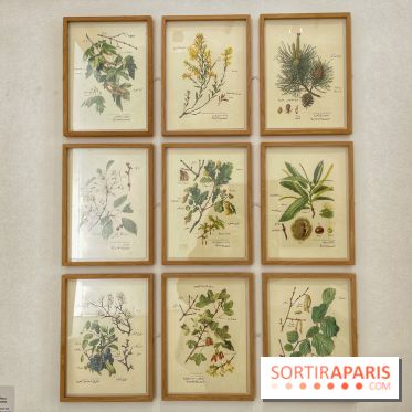 Paysages mouvants