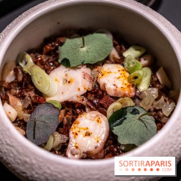 Le Baudelaire, restaurant étoilé du Burgundy par Mylo Levin - A7C02424