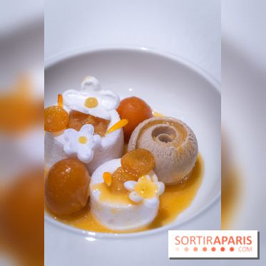 Le Baudelaire, restaurant étoilé du Burgundy par Mylo Levin - A7C02446