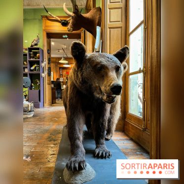 Deyrolle, l'incroyable cabinet de curiosités à Paris - nos photos