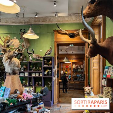 Deyrolle, l'incroyable cabinet de curiosités à Paris - nos photos