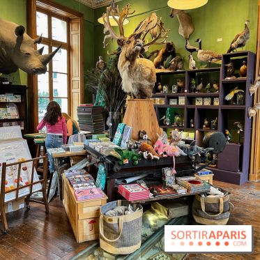 Deyrolle, l'incroyable cabinet de curiosités à Paris - nos photos