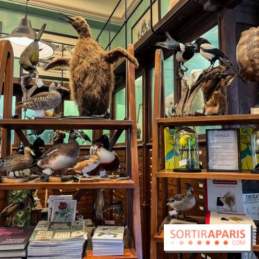 Deyrolle, l'incroyable cabinet de curiosités à Paris - nos photos
