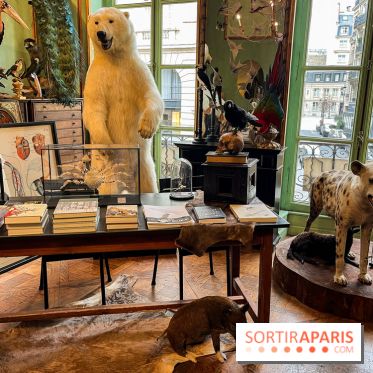 Deyrolle, l'incroyable cabinet de curiosités à Paris - nos photos