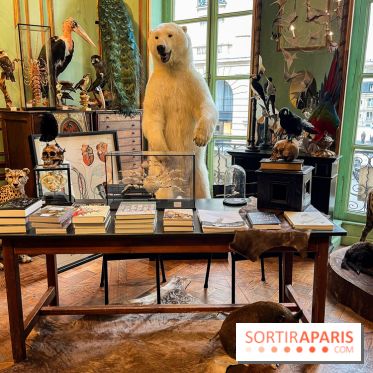 Deyrolle, l'incroyable cabinet de curiosités à Paris - nos photos