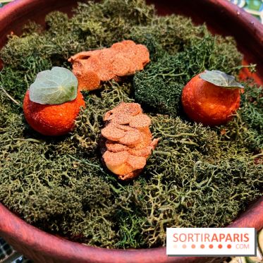 Le Christine - Topinambours soufflés, pomme dauphine