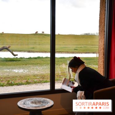 Le Royaume des Lions, l'hôtel immersif à la Lumigny Safari Reserve - nos photos - D575ACF5 4518 45E0 84A3 EA17C631A410