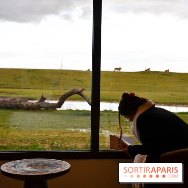 Le Royaume des Lions, l'hôtel immersif à la Lumigny Safari Reserve - nos photos - C46526C1 A8FD 4F28 9DED F6B5DC426CB1