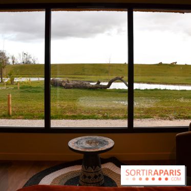 Le Royaume des Lions, l'hôtel immersif à la Lumigny Safari Reserve - nos photos - 1CC4CC10 B7D0 4A1A 89B4 BFB68B5C1ACC