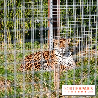 Lumigny Safari Reserve - nos photos