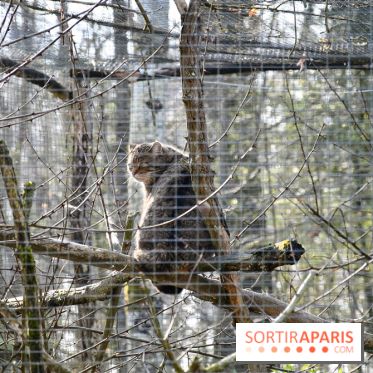 Lumigny Safari Reserve - nos photos - image00050