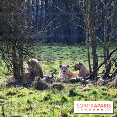 Lumigny Safari Reserve - nos photos