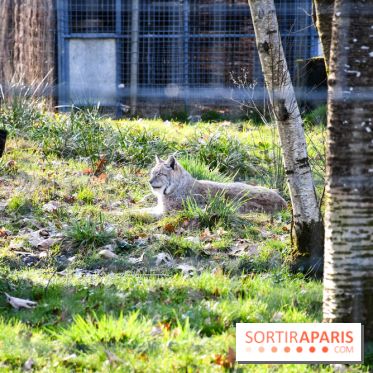 Lumigny Safari Reserve - nos photos