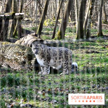 Lumigny Safari Reserve - nos photos
