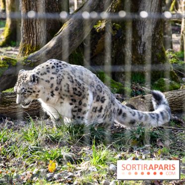 Lumigny Safari Reserve - nos photos