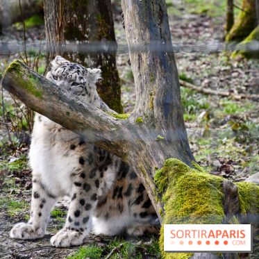 Lumigny Safari Reserve - nos photos