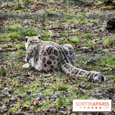 Lumigny Safari Reserve - nos photos