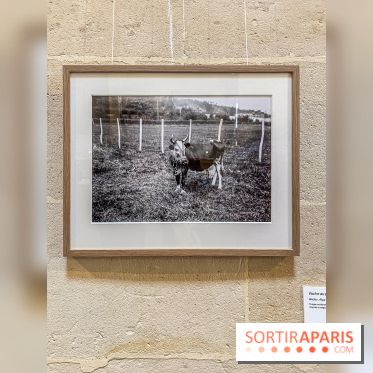 Zola photographe : l'exposition à l'Espace Richaud, à Versailles - IMG 3059